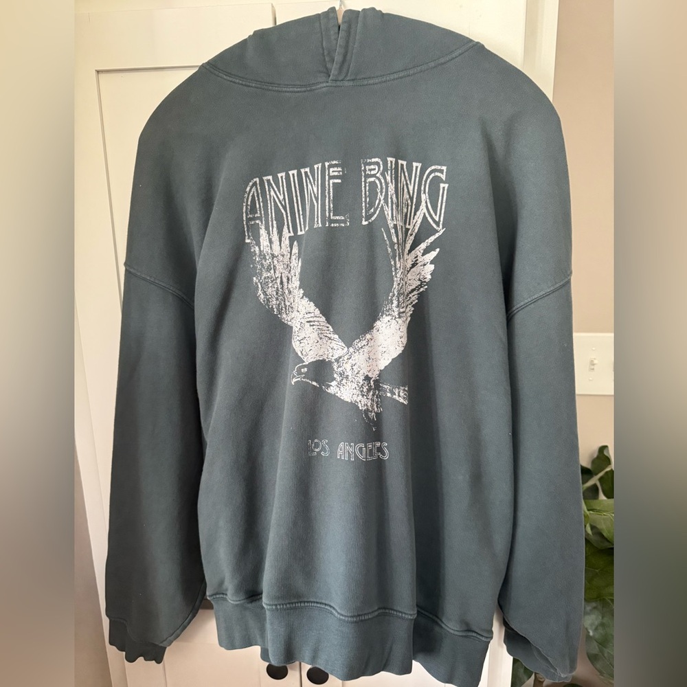Anine Bing - Ash Hoodie Eagle - Faded Emerald Green - Picture 10 of 13